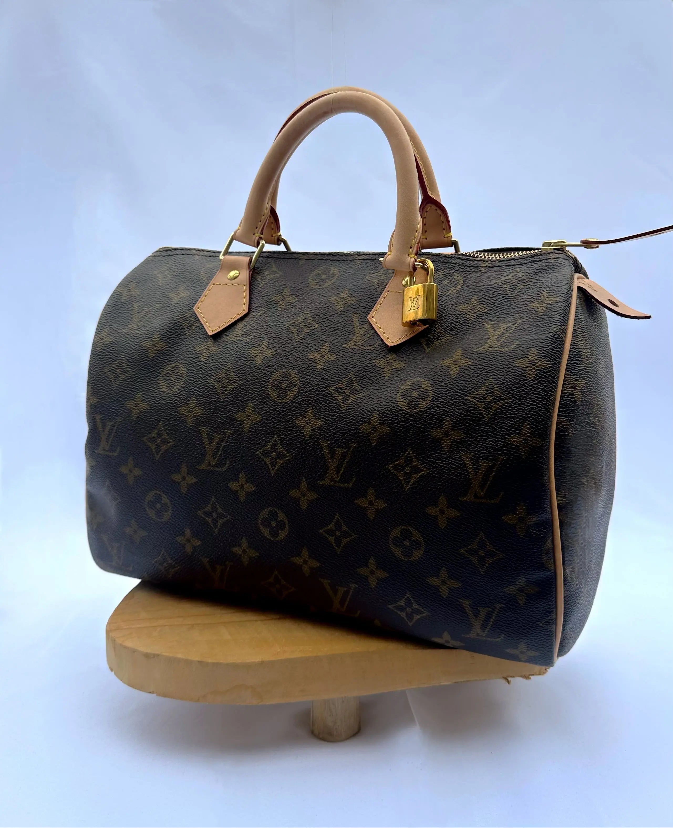 Coussin de rembourrage - Speedy 30 Louis Vuitton Lola Cares